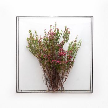 AE-Square-Flower.jpg