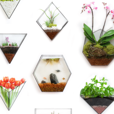 A+E-Wall-Collection-Mixed