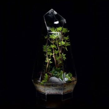 Ae-Terrarium-Crystal-Desert.jpg