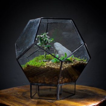 Ae-Terrarium-Dodecahedron-Woodland.jpg