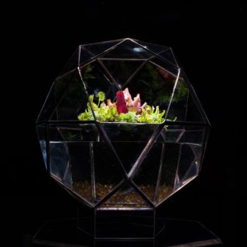 Ae-Terrarium-River.jpg