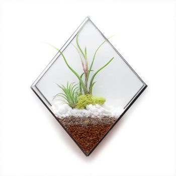 Ae-Wallscapes-Diamond.jpg