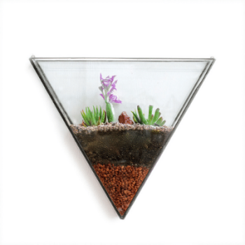 Ae-Wallscapes-Triangle.png