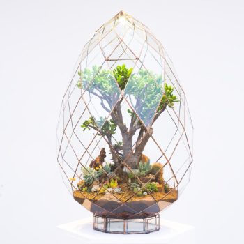 Automated-Terrarium.jpg