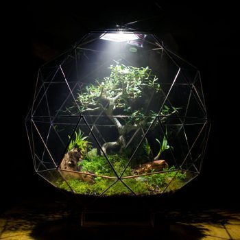 Automated-Terrariums-Pentakis.jpg