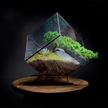 Cube-Terrarium-Angles-Earth.jpg