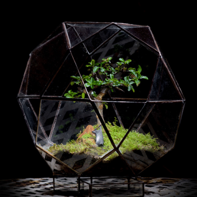 Icosahedron-Bonsai-Terrarium