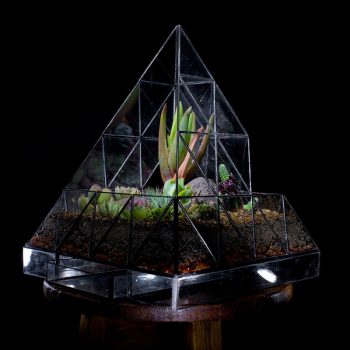 Pyramid-Terrarium.jpg