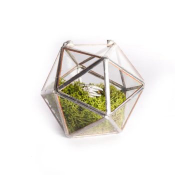 Ringbox-Oct.jpg