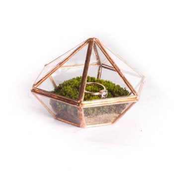 Ringbox-Tet.jpg